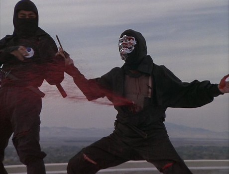 Revenge Of The Ninja.jpg